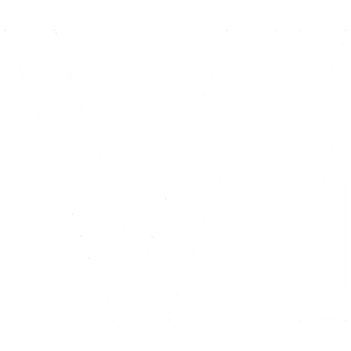 Vi